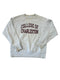 VINTAGE CHAMPION REVERSE WEAVE LIGHT GREY COLLEGE OF CHARLESTON CREWNECK